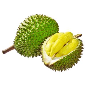 Sầu Riêng 6 Ri